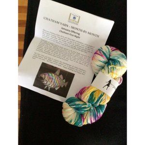 Haute knit Yarn Oscar Worsted Weight 218 yards Superwash Merino US Needle 7 - 9